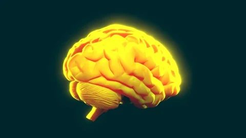 Yellow brain turning. 3d animation Stock Footage 115089525