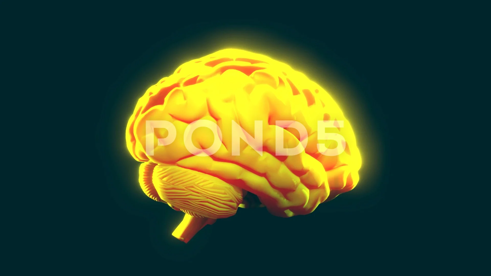 https://images.pond5.com/yellow-brain-turning-3d-animation-footage-115089525_prevstill.jpeg