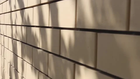 Yellow brick wall with tree shadow. Abstract background with geometric shapes Video stock 194232865