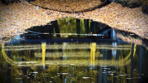Yellow Bridge reflected in the water of the old pool in the autumn city park. Stock Footage 127848650