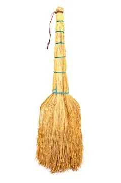 Yellow broom Stock Photos