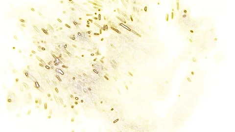 Yellow-brown abstraction on a white background Stock Footage 126023817