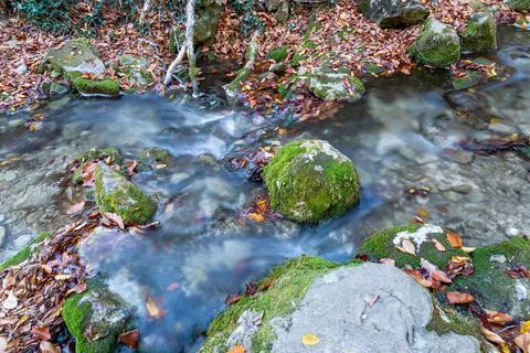 Yellow-brown autumn leaves float in a mountain stream Stock Photos