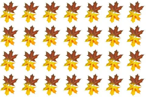 Yellow brown autumn leaves pattern for decoration Stock Illustration