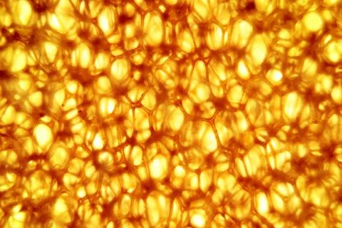 Yellow, brown cellular structure  polyurethane,  red-hot, metal Stock Photos
