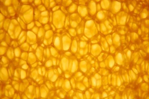 Yellow, brown cellular structure  polyurethane,  red-hot, metal Stock Photos