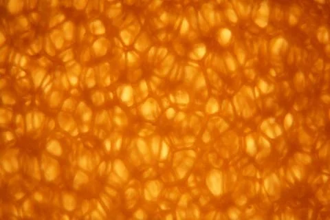 Yellow, brown cellular structure  polyurethane Stock Photos