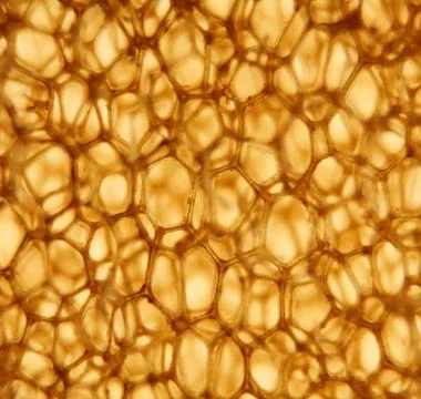 Yellow, brown cellular structure  polyurethane,  red-hot, metal Stock Photos