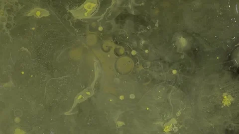 Yellow bubbles colliding 스톡 동영상 330444549