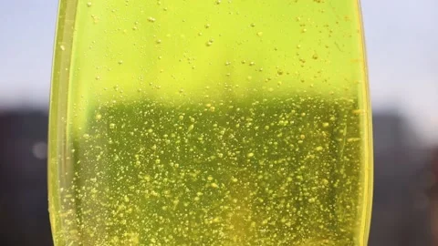 Yellow bubbles liguid background texture. Stock Footage 234797729