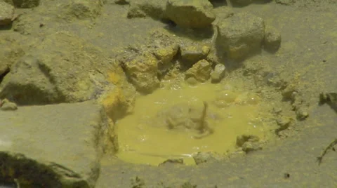 Yellow bubbling mud pool Stock Footage 4903769