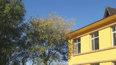 Yellow building corner with tree Stock Footage 12312583