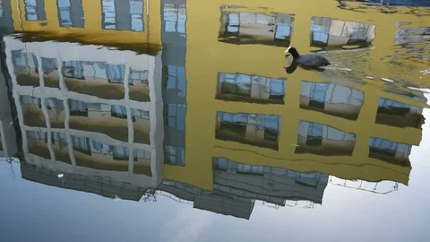 Yellow building Stock Footage 119107802