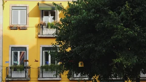Yellow building with green tree under blue sky. Summer in Lisbon, Portugal Stock Footage 311198568