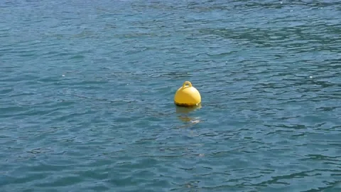 Yellow buoy Stock Footage 150728478
