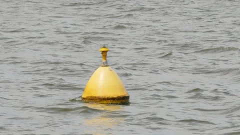 Yellow buoy on the lake Stock Footage 313196893