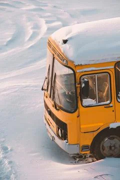 Yellow bus Stock Photos