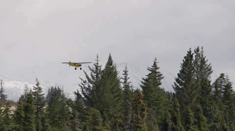 Yellow Bush Plane Taking Off over Treetops into Cloudy Sky Stock Footage 23656252