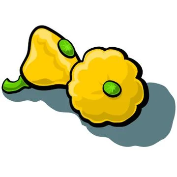 Yellow Button Squash Stock Illustration