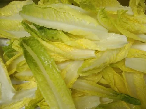 The yellow cabbage in the basket Stock Photos