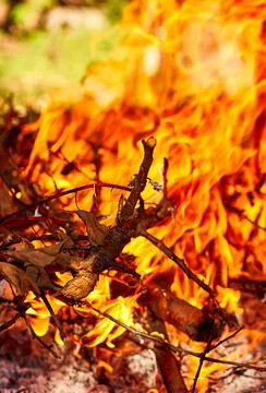 Yellow campfire flame as background texture for artists Stock Photos