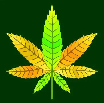 Yellow cannabis leaf Stock Illustration
