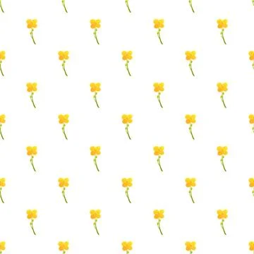 Yellow canola blossom seamless pattern on white background Stock Illustration
