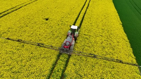 Yellow canola field. Field of blooming rapeseed aerial view. Farm tractor Stock Footage 246676053