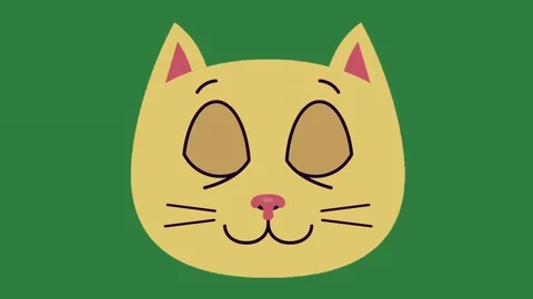 A yellow cat with green background and ' s face eyes closed on green screen Stock-Footage 337336312