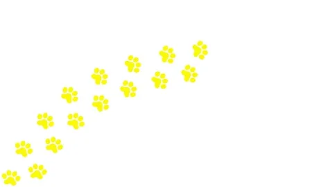 Yellow cat tracks 2 white Stock Footage 249876094