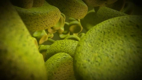 Yellow Cell Stock Footage 81101502