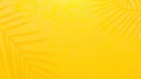 Yellow cement wall. Shadow from tree on cement floor.  Stock Illustration