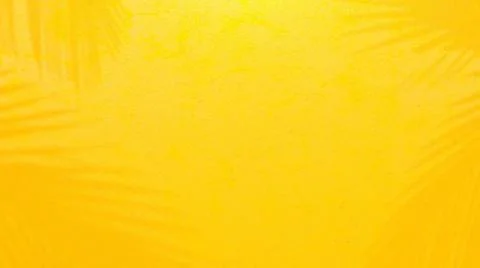 Yellow cement wall. Shadow from tree on cement floor.  Stock Illustration