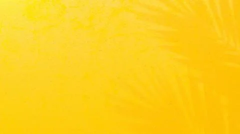 Yellow cement wall. Shadow from tree on cement floor. Minimal Background. Stock Illustration