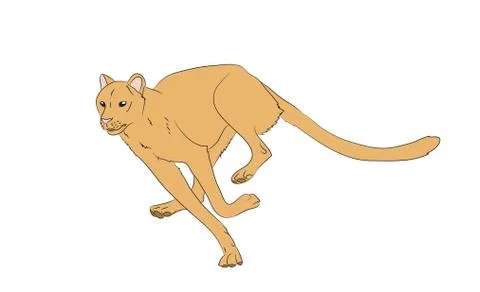Yellow cheetah, running, vector Stock Illustration