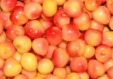 Yellow cherries background Stock Photos