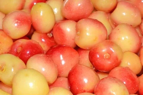 Yellow cherries close up Foto stock
