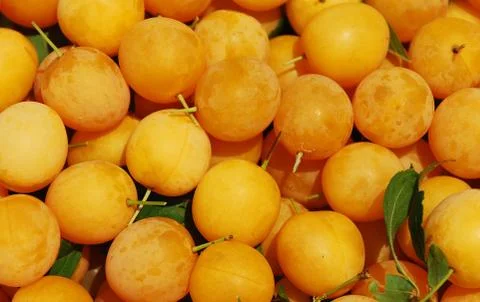 Yellow Cherries Stock Photos