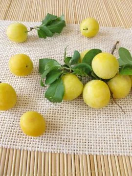 Yellow cherry plums Stock Photos