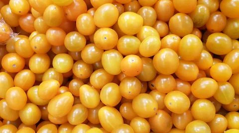 Yellow Cherry tomatoes for background, cherry tomatoes for wallpaper, yellow  Stock Photos