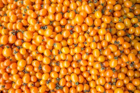Yellow cherry tomatoes background Stock Photos
