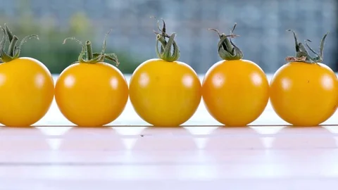 Yellow Cherry Tomatoes Stock Footage 84974663