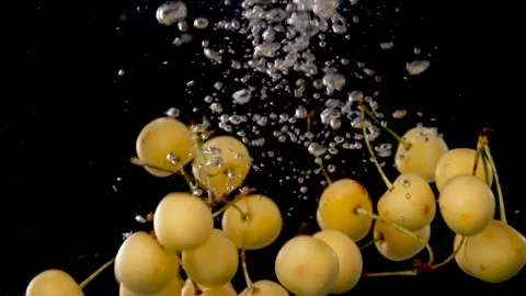 Yellow cherry in water Stock-Footage 201433098