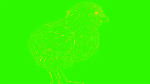 Yellow chick animation video Stock Footage 167205069