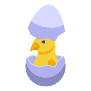 Yellow chick icon isometric vector. Easter bird Stock Illustration