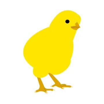 Yellow chick Stock Illustration