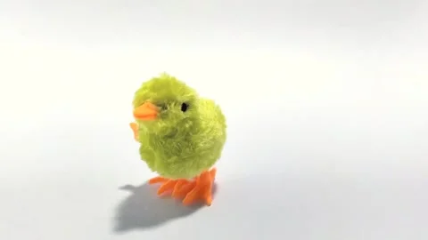 Yellow chick toy Stock Footage 307948977