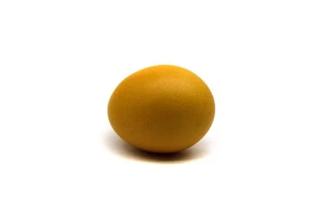 Yellow chicken egg Stock-Fotos