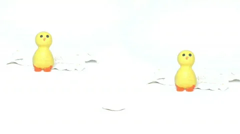 Yellow Chicken Video stock 180650