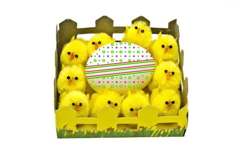 Yellow chickens and easter egg Stock Photos